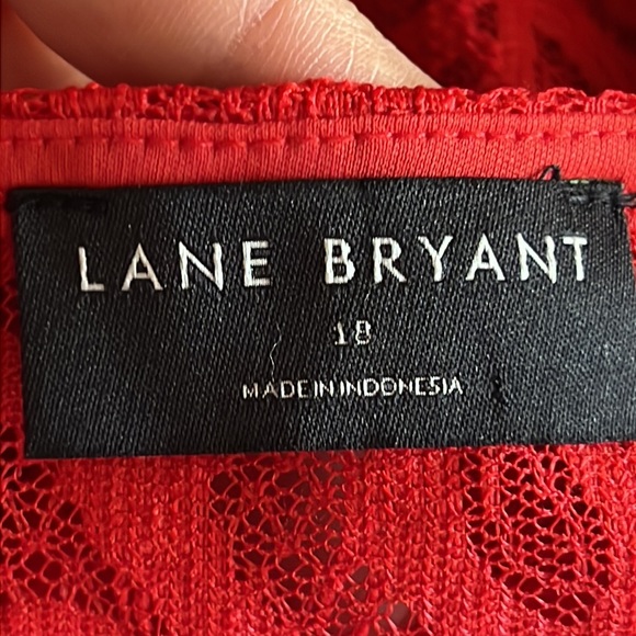 🌼FOR BUNDLE ONLY🌼Lane Bryant Lace Peplum Blouse - Picture 9 of 11